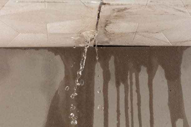 Professional Water Damage Inspection technician working in Plaquemine, LA